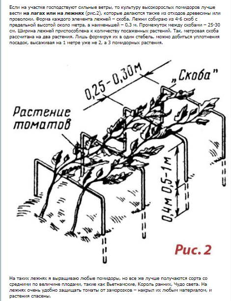 Какое расстояние помидор в открытом грунте. Высадка рассады томатов схема. Высадка рассады помидор в теплице схема. Схема высадки перца в открытый грунт. Схема высадки томатов в теплице 3х6.