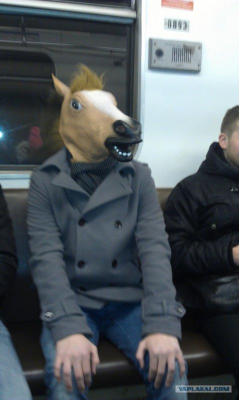 �������� ���������, �������� ���������� ���� � ������