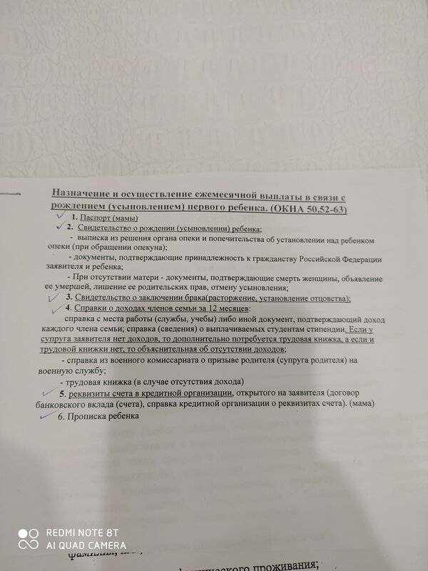 путинские на первого ребенка документы