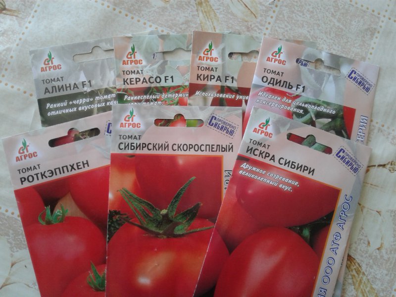 Купить Семена В Новосибирске Опт
